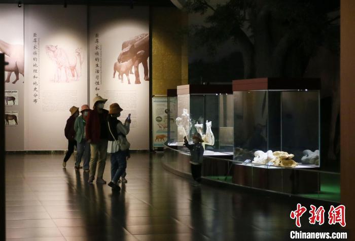 图为5月底，参观者在和政古动物化石博物馆拍照留念。　高展 摄