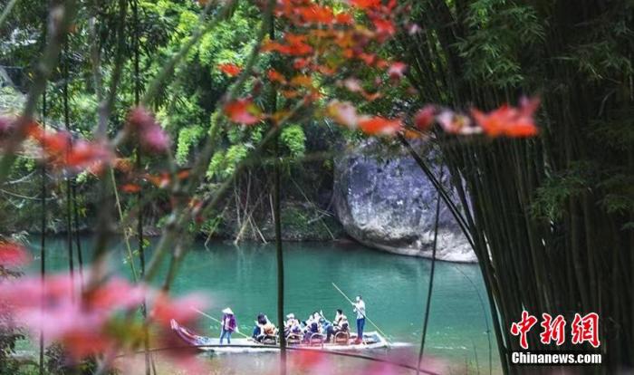 资料图：武夷山九曲绿水、青山、红叶交相辉映。 张丽君 摄