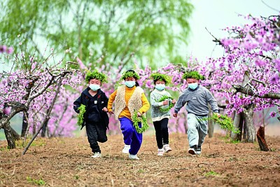 沂蒙革命老区：谁不说俺家乡好