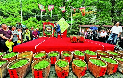 浙江：扬鞭奋蹄新赛道