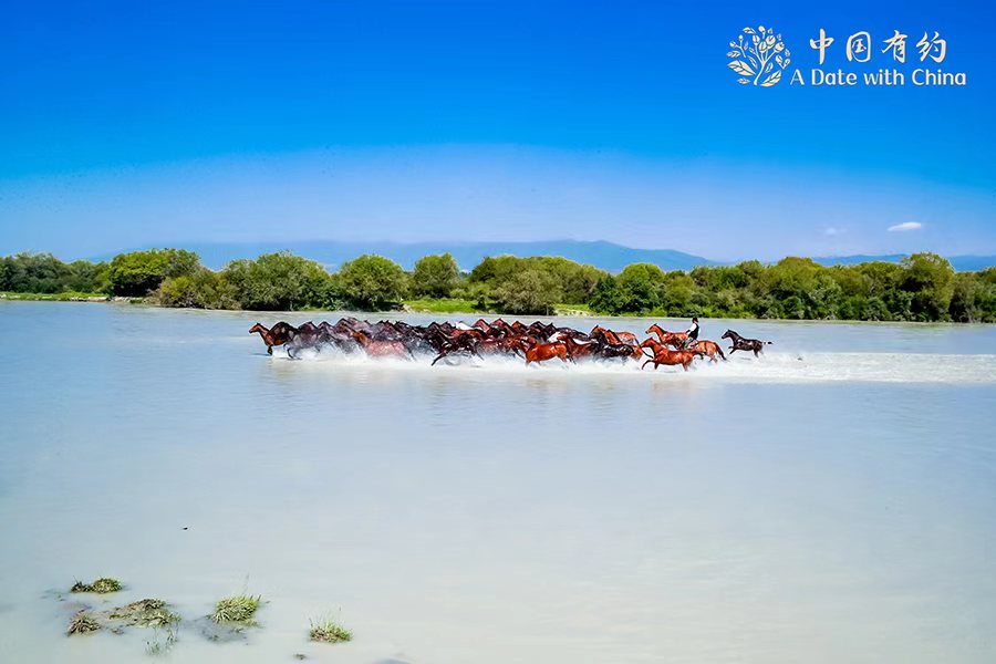 与中国的约会：蓬勃发展的马旅游拓宽了新疆昭苏的收入来源