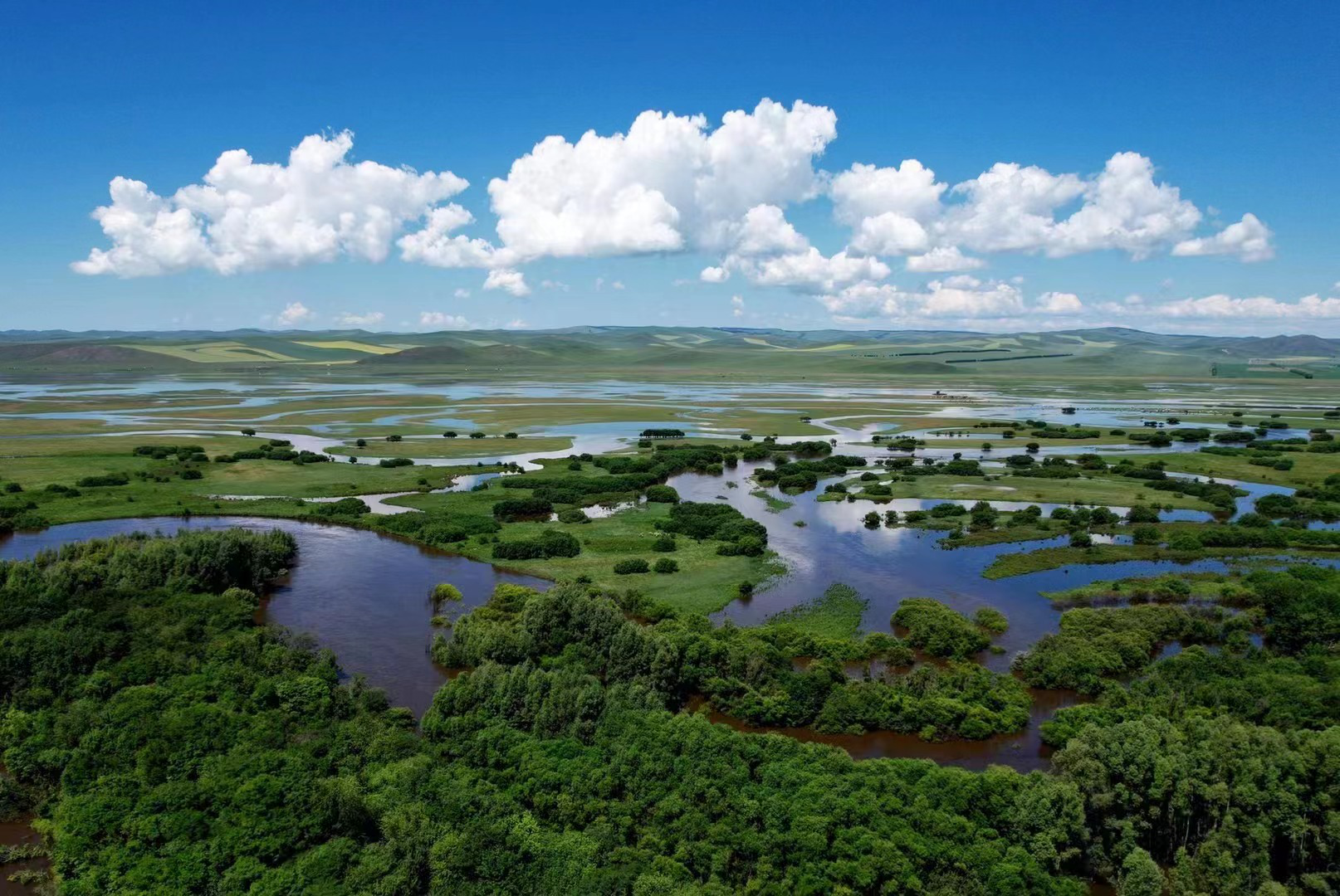 额尔古纳湿地公园 马建荃 摄