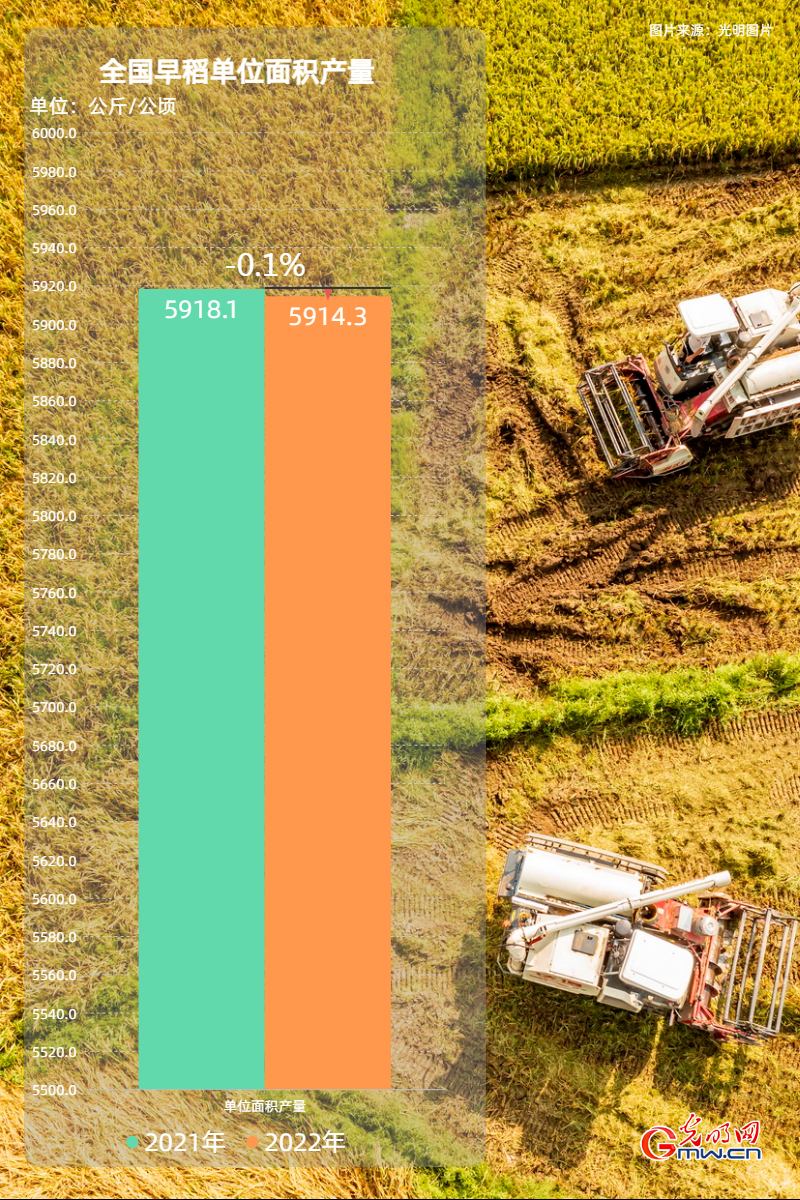 数据海报丨稳产！2022年我国早稻产量2812.3万吨