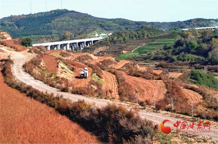 【小康路上看老乡】华亭市：荞麦种植获丰收 增收再添“新血液”