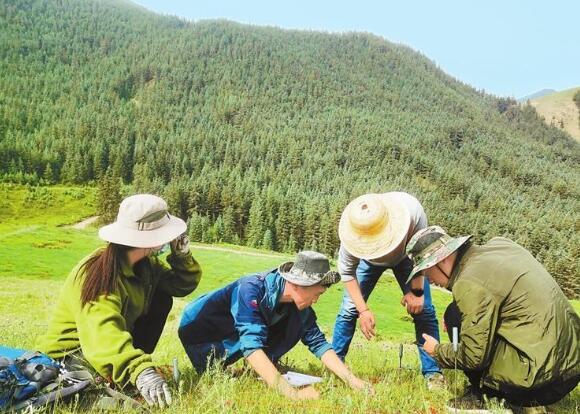 【二十大时光】笃行不怠 撸起袖子加油干