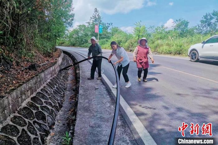 （两会声音）“90后”代表王海霞：“青春之花”绽放在乡村振兴的土壤上