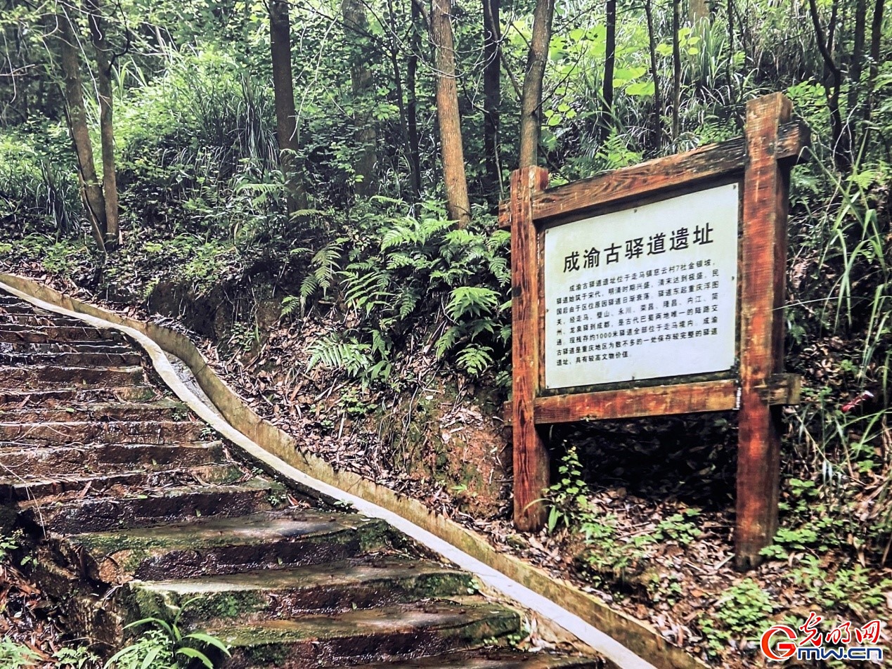 【走进区域看发展】成渝中线高铁：连接成渝两地发展的“经济大动脉”