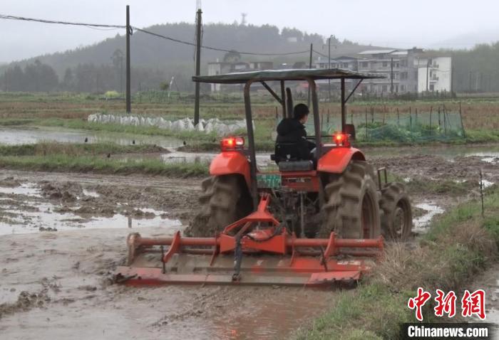 湖南祁阳让农田“吃”上定制“营养餐”