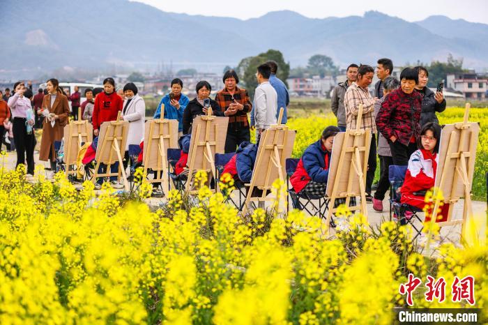 连片花海吸引游客纷至沓来。　黄尉峰 摄