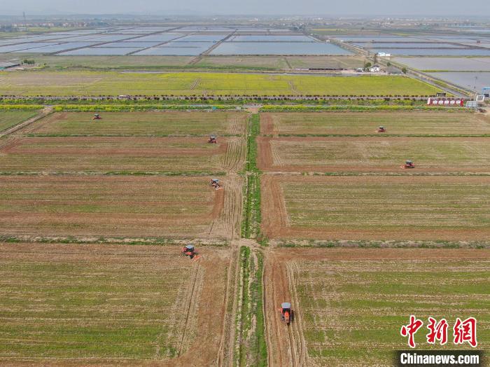 江西南昌：春光明媚农事忙金色油菜花旁机声隆隆