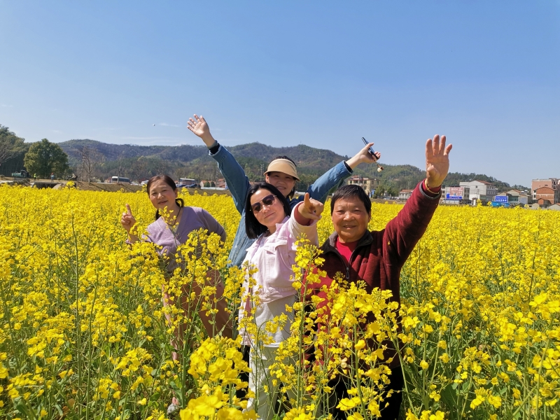 游客打卡湖北咸安油菜花海。胡剑芳摄