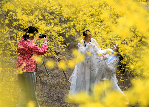 花开醉游人。