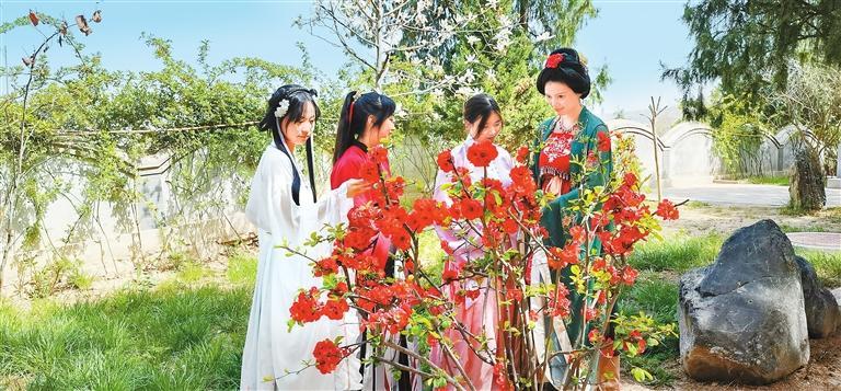 天水“花朝节”开幕 “同袍”们从古观古巷款款而来