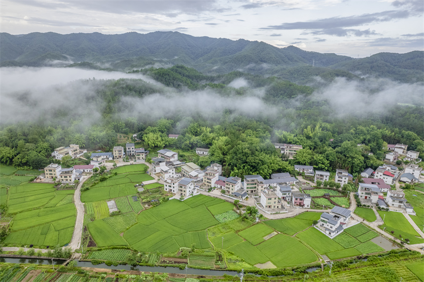 6月8日，航拍镜头下的江西省赣州市信丰县大桥镇大桥村。张元兵摄