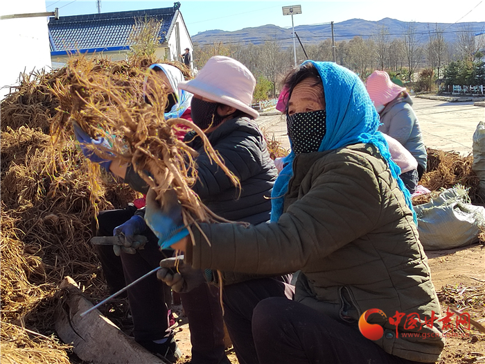 甘肃省颁发首批农村土地承包经营权不动产权证书