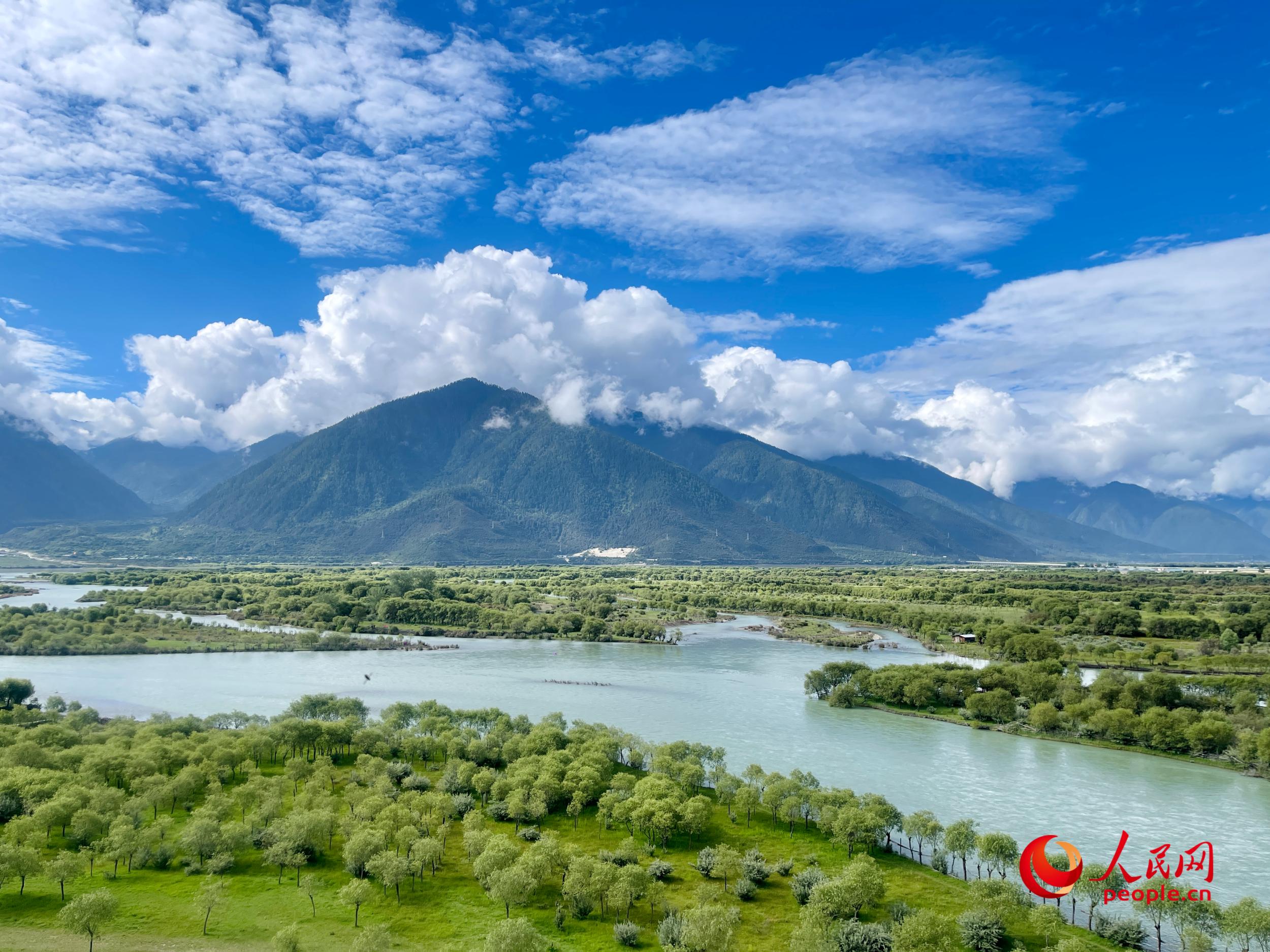 夏日的雅尼国家湿地公园生机盎然，如诗如画。人民网 周静圆摄