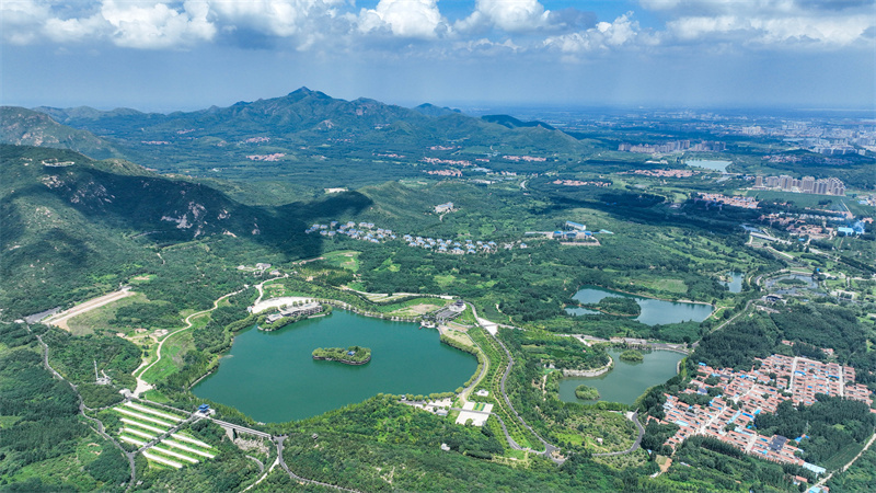 7月28日，山东省邹平市西董街道樱花山湖光山色碧连天景观。