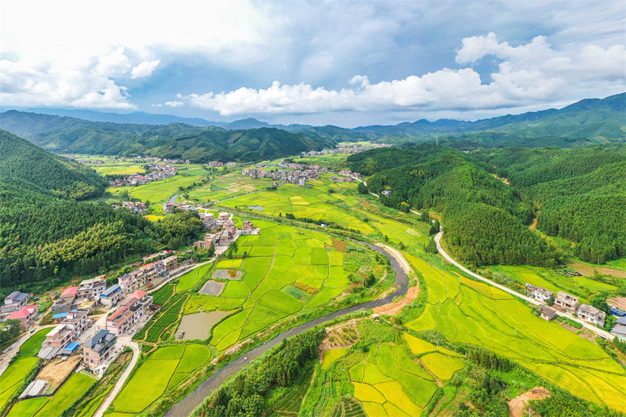 湖南省永州市蓝山县大桥瑶族乡，稻花香乡村美。彭华摄