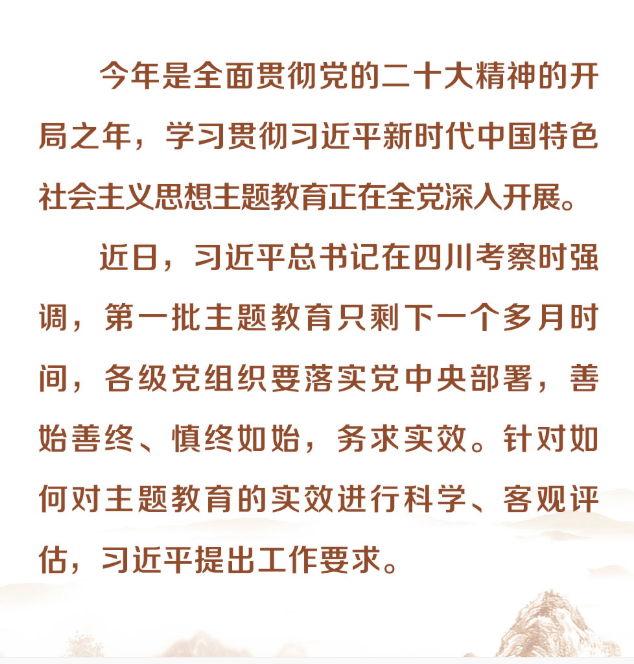 科学客观评估主题教育成效 习近平强调这些工作