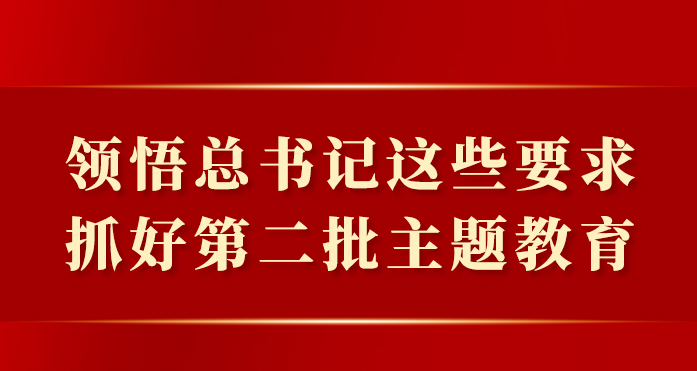 领悟总书记这些要求，抓好第二批主题教育