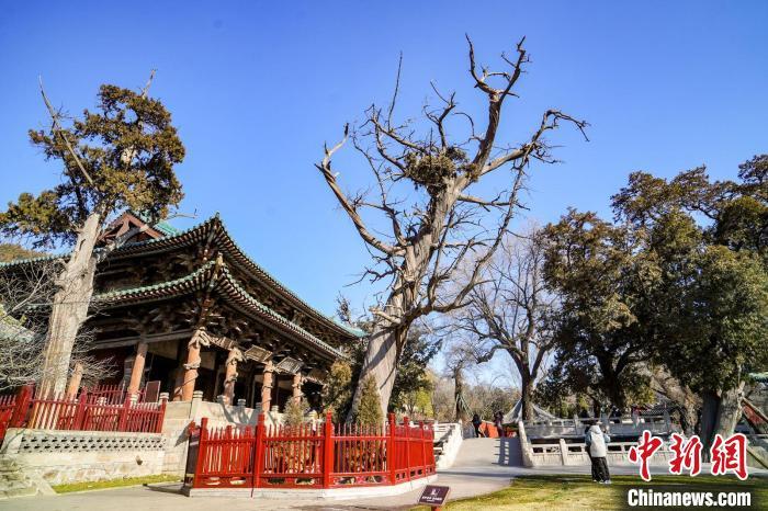 晋祠际山枕水，古木参天，殿阁林立，亭台相间，自然山水与人文遗存交相辉映。武俊杰 摄