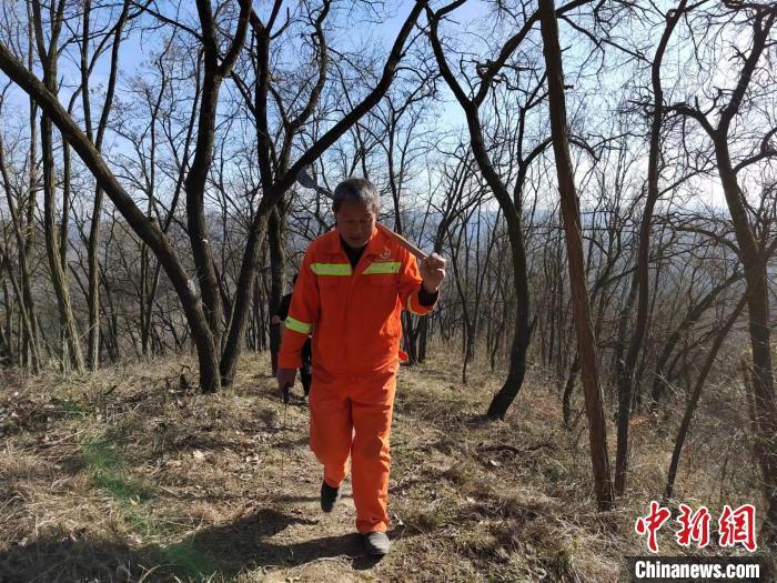 近日，56岁的甘肃平凉市灵台县珍珠山林场护林员郭岳伟在巡山。　孙筱娜 摄