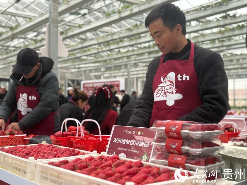 果农在开幕式现场展示种植成果。人民网高华 摄.jpg