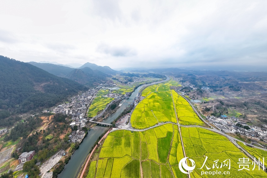 航拍贵定县“金海雪山”油菜花海。人民网记者 涂敏摄