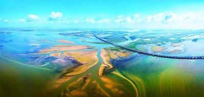 江西南昌：湿地如画 鸥鸟纷沓