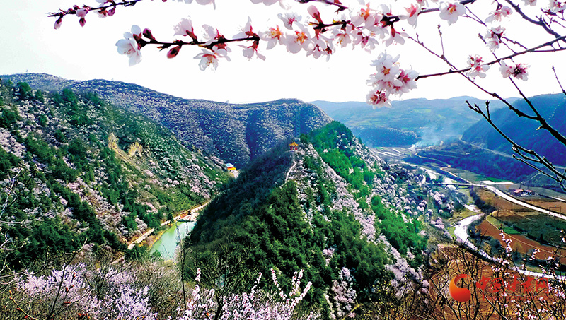 华亭：生态文明添光彩 绿水青山绘新景