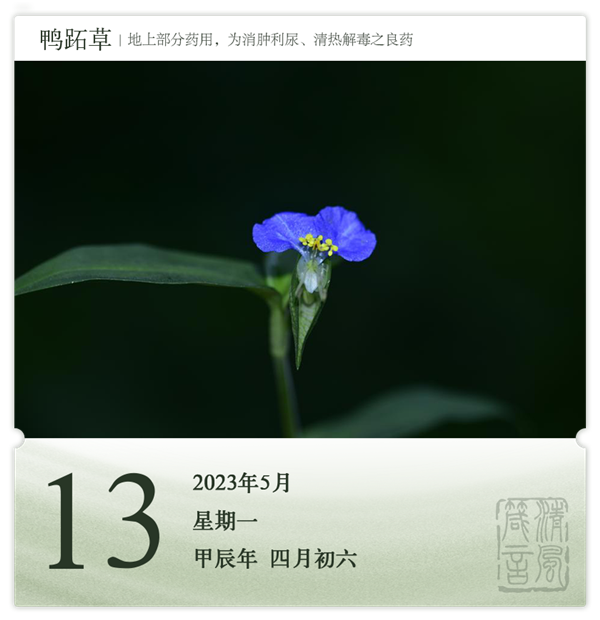 箴历日历5-13.png