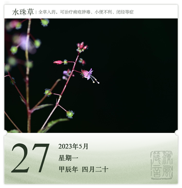 箴历日历5-27.png