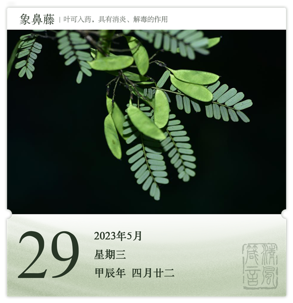 箴历日历5-29.png