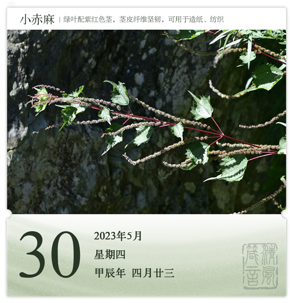 箴历日历5-30.png