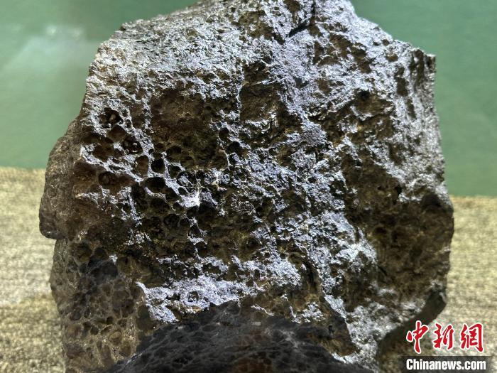 6月21日，在甘肃省矿业权出让项目推介会上展示的锰矿石。　戴文昌 摄