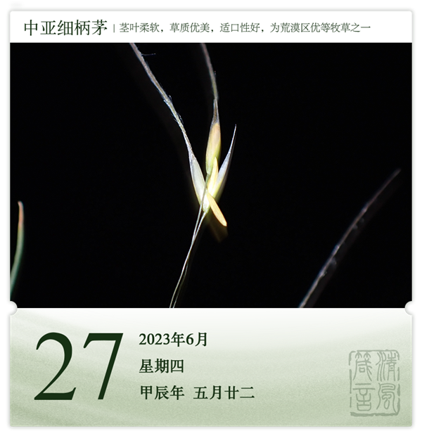 箴历日历6-27.png