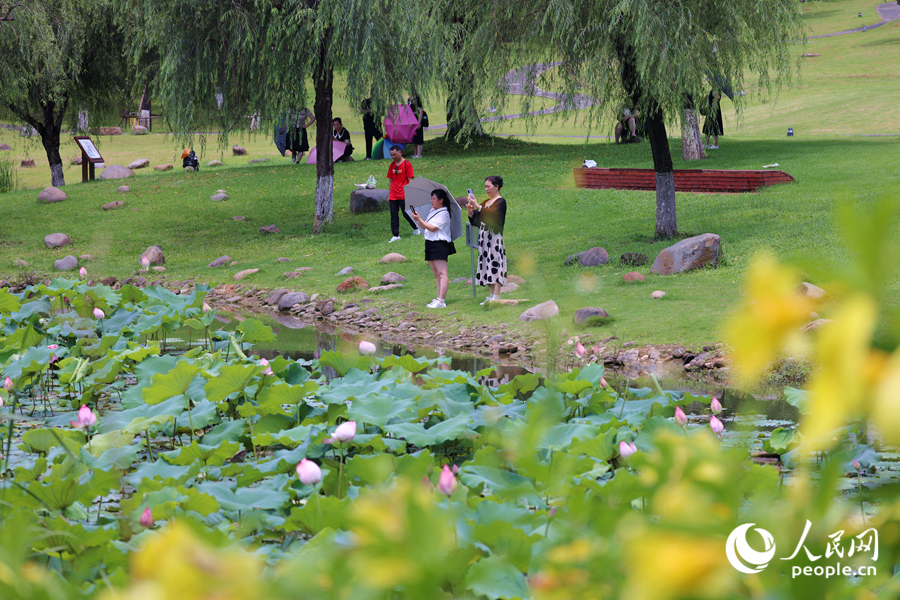 市民在繁花似锦的文笔塔公园中游玩。人民网记者 陈博摄
