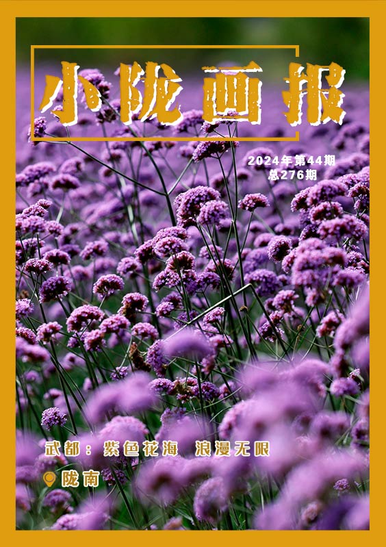 【小陇画报·276期】武都：紫色花海 浪漫无限