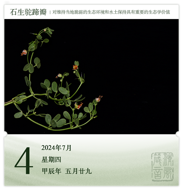 箴历日历7-4.png