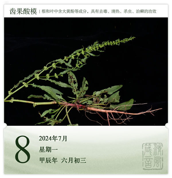 箴历日历7-8.png