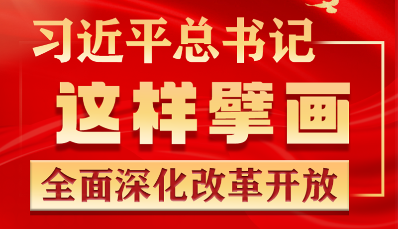 金句 | 习近平总书记这样擘画全面深化改革开放