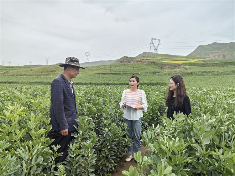 图为古浪县十八里堡乡纪检监察干部在东庙儿沟村大豆种植基地了解产业奖补政策落实情况.jpg