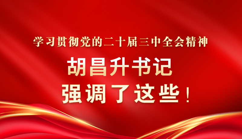 图解|学习贯彻党的二十届三中全会精神 胡昌升书记强调了这些！