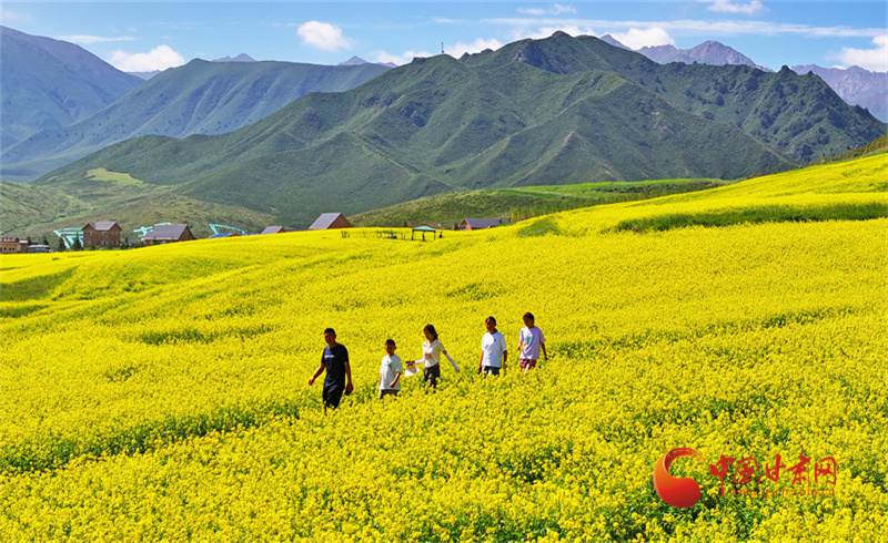 相约民乐扁都口 遇见醉美油菜花