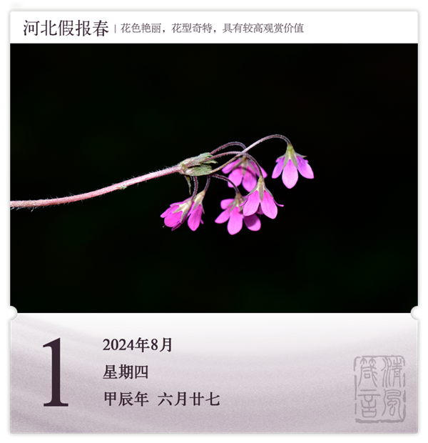 箴历日历8-1.png