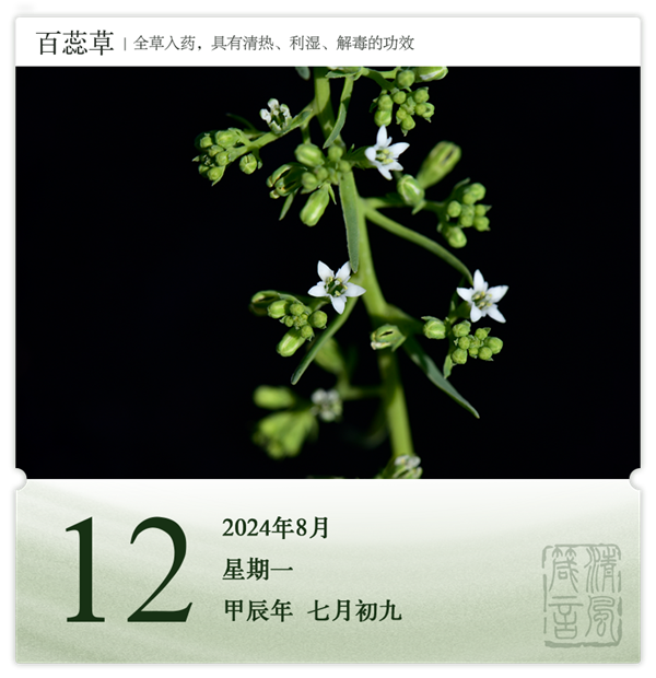 箴历日历8-12.png