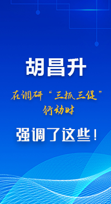 图解|胡昌升在调研“三抓三促”行动时强调了这些！