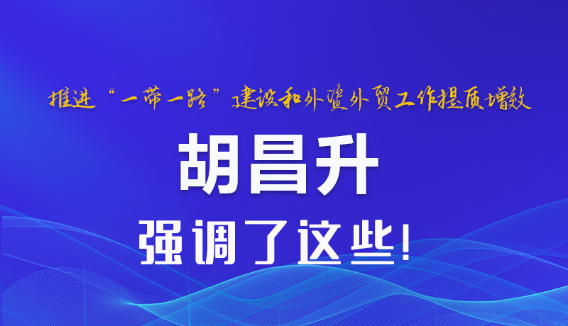 图解|推进“一带一路”建设和外资外贸工作提质增效 胡昌升强调了这些 