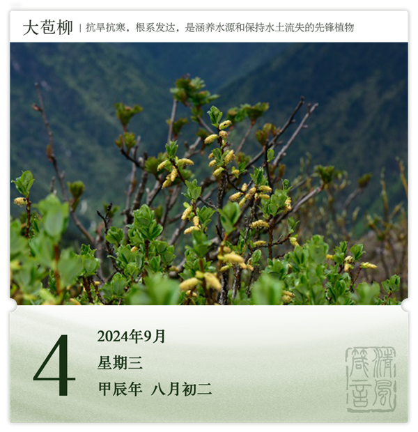 箴历日历9-4.png