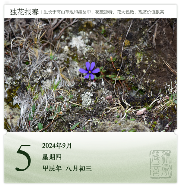 箴历日历9-5.png